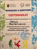Сертификат по программе Республиканского форума "Молодёжь в действии - 2013". 